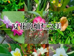 -国家植物园南园