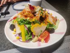 捞汁冰沙蚌金耳沙拉-将太无二·北美传奇寿司(荟聚购物中心西红门店)