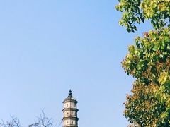 -巢湖姥山岛