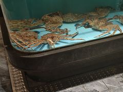 -阿伟海鲜楼·福建菜(延寿店)