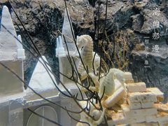 -太平洋海底世界