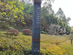 -仙岳公园