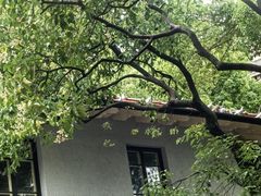 -上海宋庆龄故居纪念馆