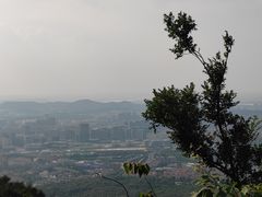 -灵谷景区