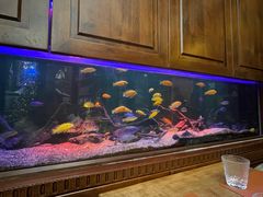 水产区-Golden Lily河内巴黎法越料理餐厅(建国西路店)