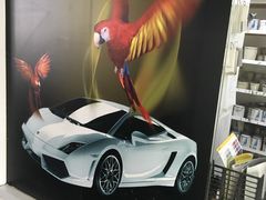 -蜂鸟快修喷漆钣喷汽修旗舰工厂(军工路店)