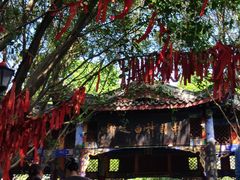 -丰都鬼城名山景区