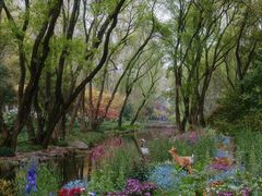 -上海共青森林公园