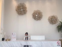 点击看大图 -YESIDO椰岛美容