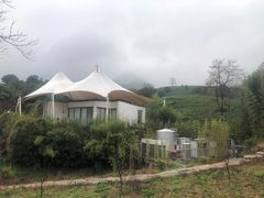 -帐篷客·溪龙茶谷度假酒店