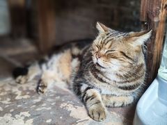 -老屋咖啡