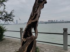 -无锡蠡湖国家湿地公园-蠡园