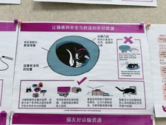 -美联众合爱康动物医院•复杂内科•肿瘤科•牙科•腔镜诊疗中心