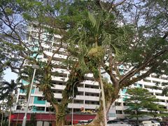 -龙海鲜螃蟹王(宏茂桥店)