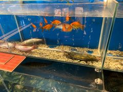 -惠丰堂饭庄·烤鸭·京味菜(西北旺·唐家岭店)
