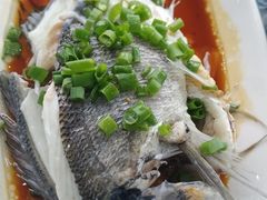 -七鲜渔港美食餐厅(巽寮湾海景店)