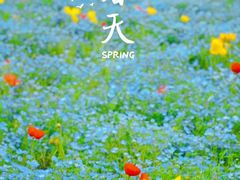-上海辰山植物园