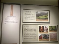 -中国茶叶博物馆(双峰馆区)