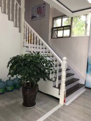 -痘博士昆明·国际祛痘领跑品牌
