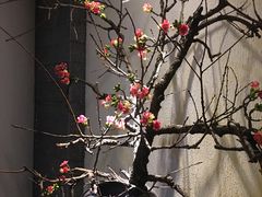 -大桶大足浴(江桥店)