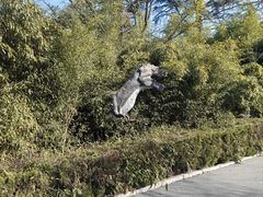 -诸城市恐龙博物馆
