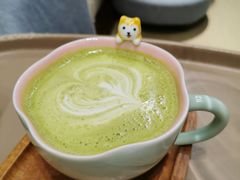 抹茶拿铁-逗柴咖啡屋·狗咖猫咖宠物桌游