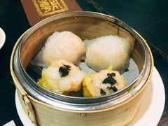 -糖朝(尖沙咀店)