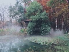 -东湖落雁景区