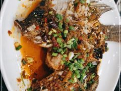 -草墩罗非鱼庄•野生菌•腊排骨(七星街上段店)