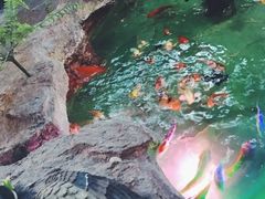 -宜兴隆家宴·私房菜(泰安华庭店)