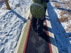 -北京西山滑雪场