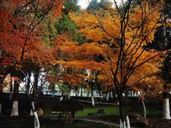 -新洲生态园