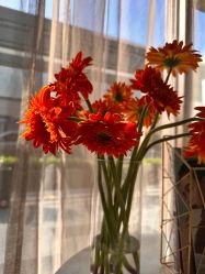 -奥本科技美肤·养生SPA