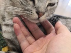 -平行世界·猫咖(首经贸店)