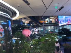 -一沙一城·岩烤牛扒(深圳首店)