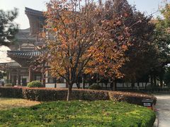 -西安青龙寺遗址景区