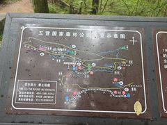 -五营红松林海景区