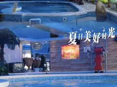 -波士芬兰浴