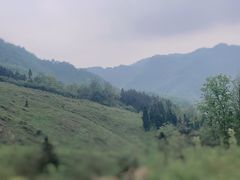 -龙窝子