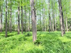 -上海怡沁园度假酒店