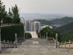 -铁山坪森林公园