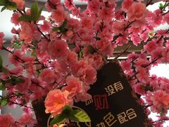 -哈尔滨文化公园