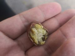 -阿男野栗王(金门路店)