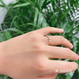 新年新气象买买买[加油]