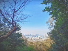 -紫金山山顶公园