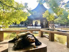 -西园戒幢律寺