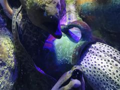 -太平洋海底世界