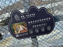 -横道河子东北虎林园