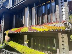 -小红帽摄影(丽江店)