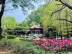 -顺峰山公园